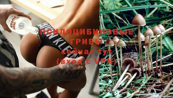 мет Белокуриха