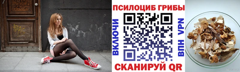 Галлюциногенные грибы ЛСД  МЕГА сайт  Староминская 